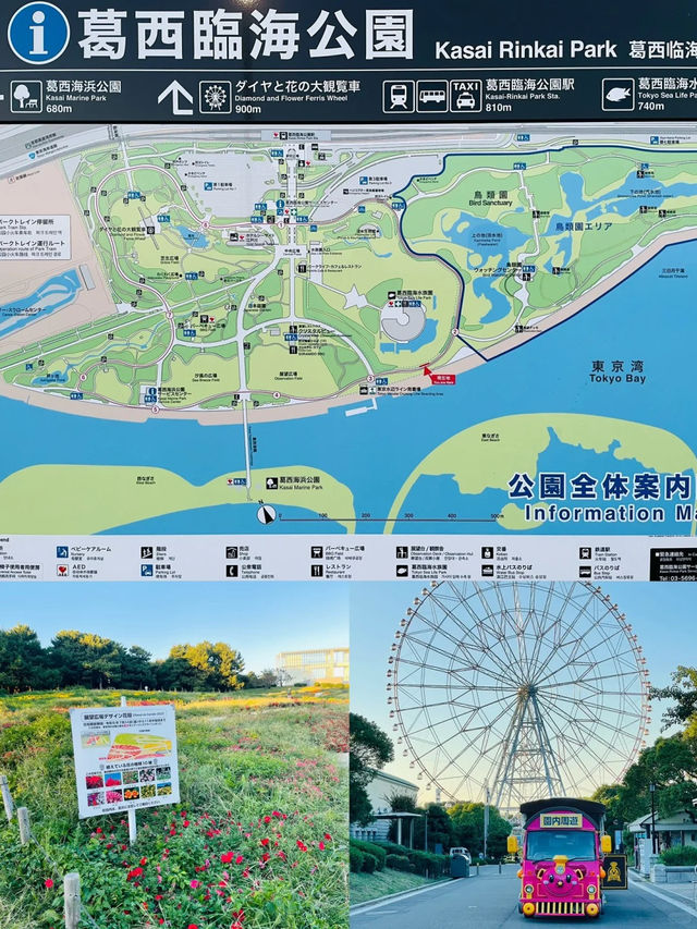 景點推薦：葛西臨海公園——東京灣的海濱樂園