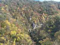 ใบไม้เปลี่ยนสีที่ Naruko Gorge 