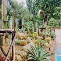 The Village Farm To Cafe’