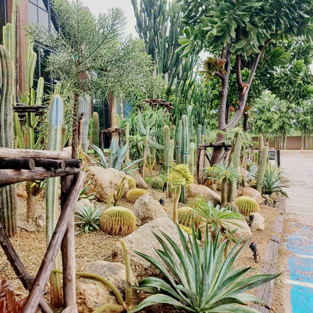 The Village Farm To Cafe’