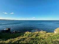 A Serene Escape to Maroubra Beach