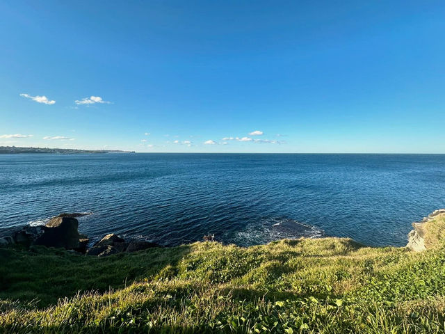A Serene Escape to Maroubra Beach
