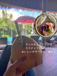 【バリ島】ヴィラホテルが最高すぎた