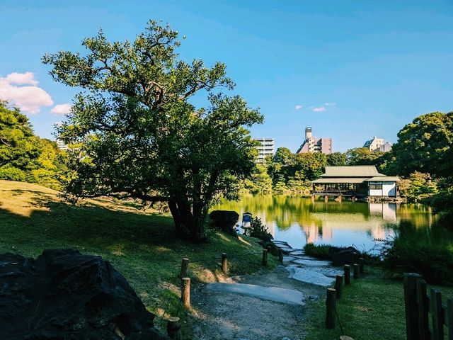 【東京×清澄庭園】亀の日向ぼっこと落ち着く庭園のひととき