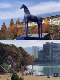 창원에서 즐기는 야외 데이트 필수코스