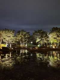 경주여행의 필수코스 동궁과월지✨💫🌌