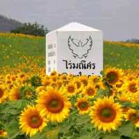 ไร่มณีศร เขาใหญ่ อันซีนโคราช  