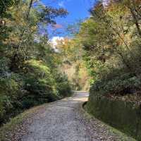 Hoshida Park และ สะพานแขวน Hoshi no Buranko