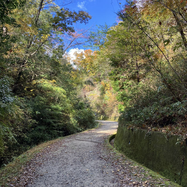 Hoshida Park และ สะพานแขวน Hoshi no Buranko