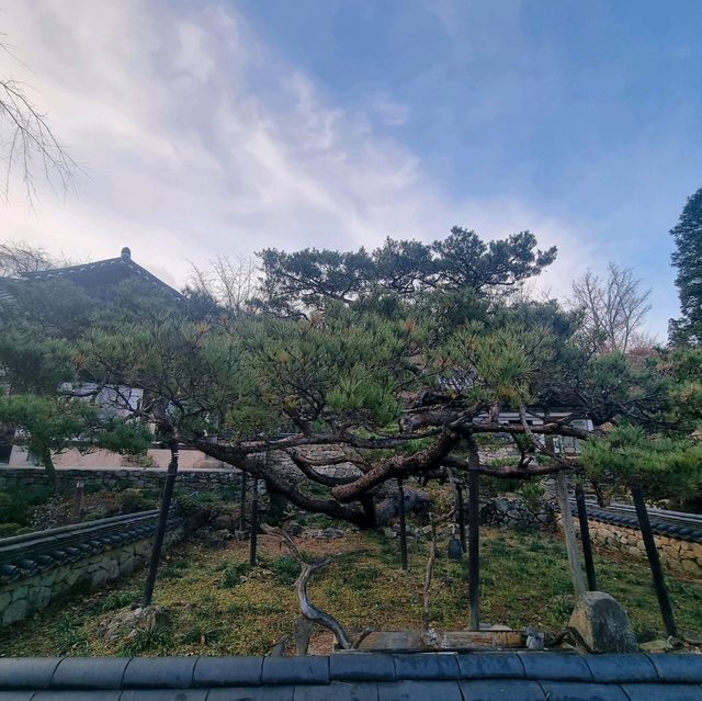 유네스코 세계유산 태고종의 총본산 선암사 