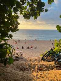  🍍 10 Fascinating Facts About Hawaii🏝️