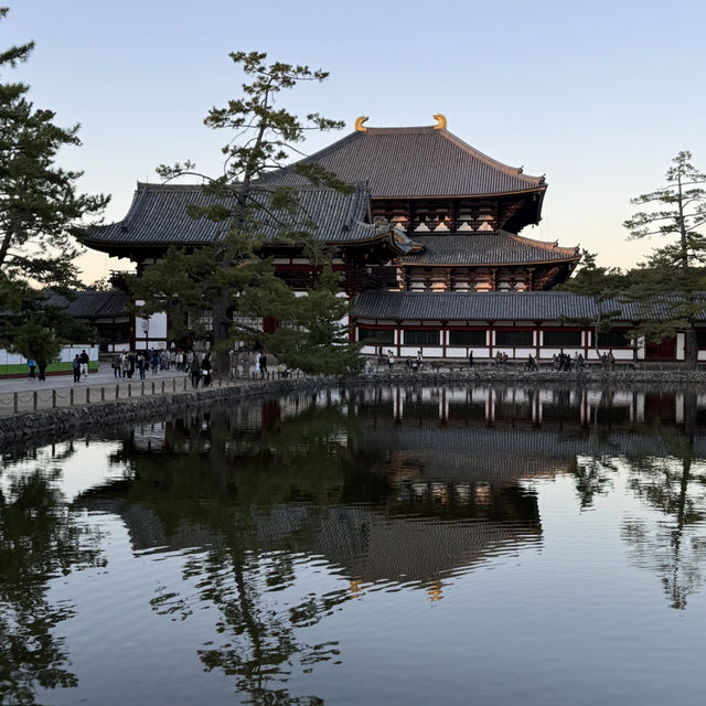 No trip to Nara is complete without visiting the Nara Park!