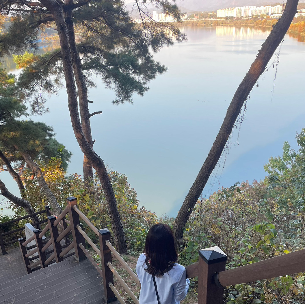 นี่คือวิวจากชั้น 12 ของอาคาร Tangeumdae ในเมือง Chungju ใบไม้ร่วงปีนี้ไม่สวยเท่าไหร่ แต่สภาพอากาศดี ฉันจึงมองเห็นวิวสวยๆ นี้เมื่อขึ้นมาจากลานจอดรถ