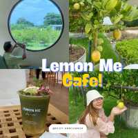 Lemon Me Farm เติมความสดชื่นกลางสวน ’เลม่อน‘