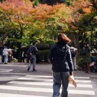 Takachiho Gorge 
