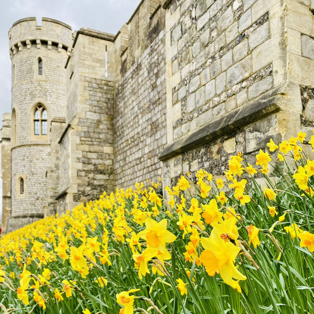 溫莎小鎮^ 🏰^感受中世紀英倫風味🇬🇧