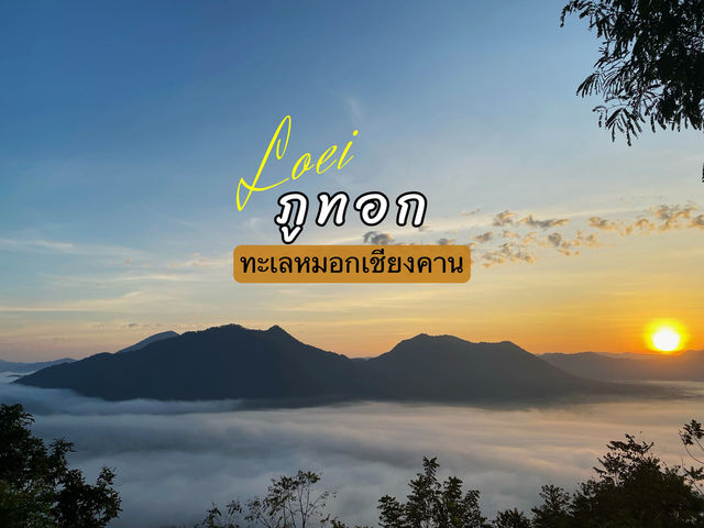ภูทอกเชียงคาน จุดชมวิวทะเลหมอกสุดอลังการ