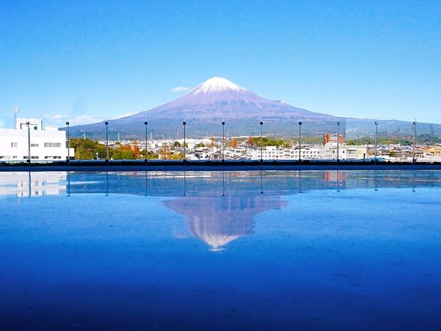 【静岡県富士山世界遺産センター】（静岡県富士宮市　旧国名：駿河）