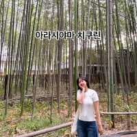 교토 아라시야마 코스 가볼만한 곳 BEST 4 