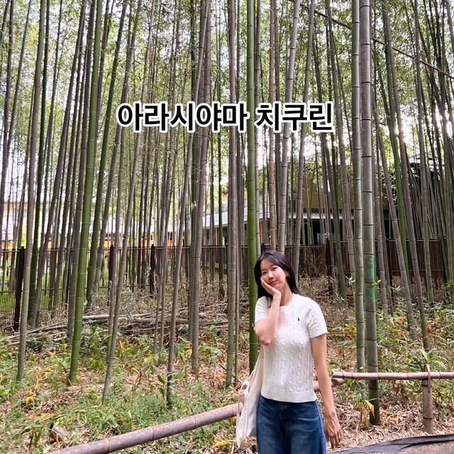 교토 아라시야마 코스 가볼만한 곳 BEST 4 