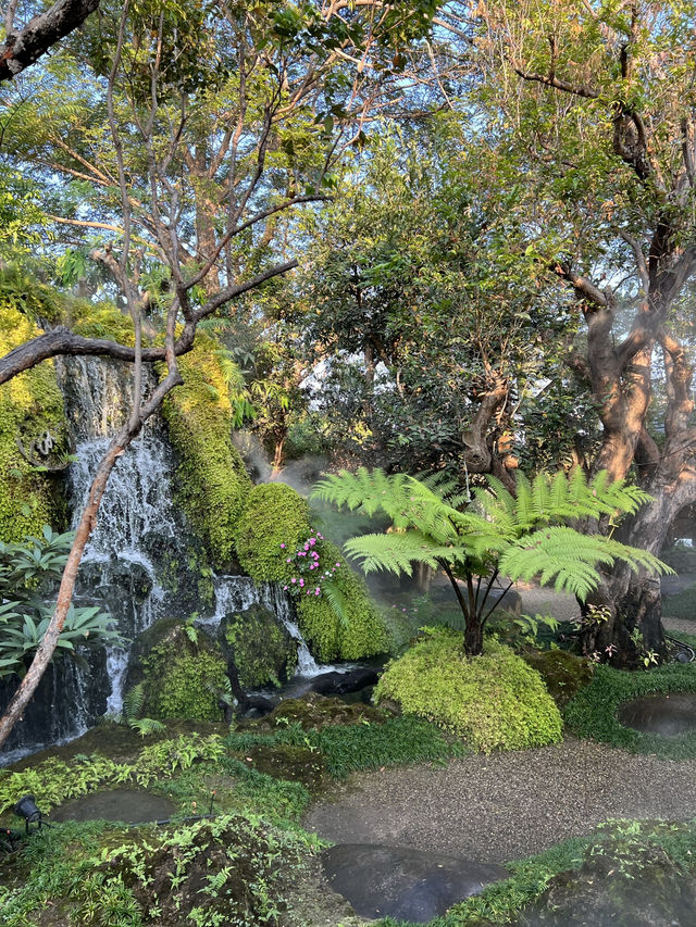 ชมคาเฟ่ เชียงใหม่