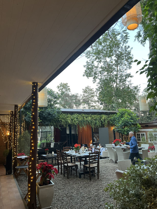 Terra ร้านดินเนอร์หรู บรรยากาศดีที่เชียงใหม่🍸🌲