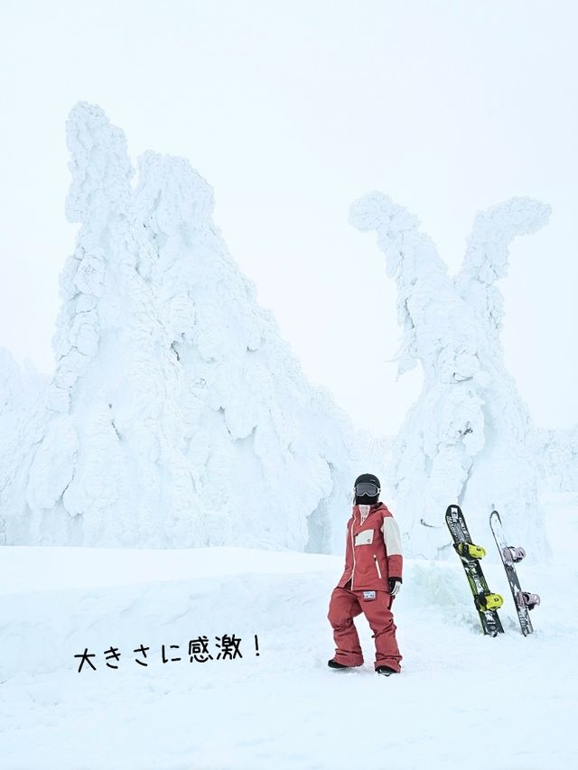 【秋田】日本三大樹氷『森吉山阿仁スキー場』