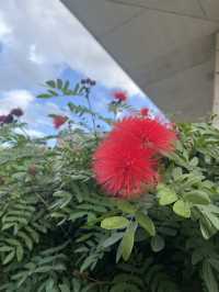 【沖縄】やちむんの里に行ってみよう