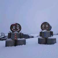 北海道旅遊🥳四季彩之丘雪景打卡熱點💓自駕雪車體驗分享🛞