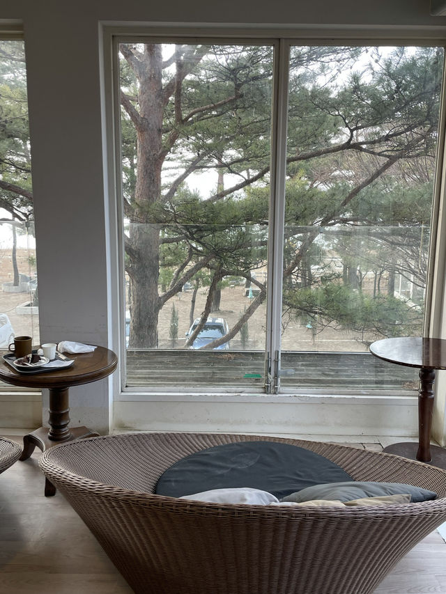 🏞️팔당 한강뷰맛집 브런치 카페💕🫢