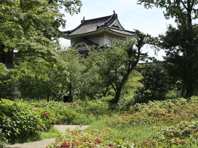 Step into History at Kyoto’s Nijo-jo Castle