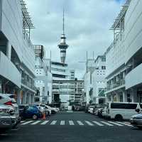 Hilton Auckland