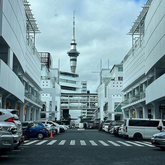 Hilton Auckland