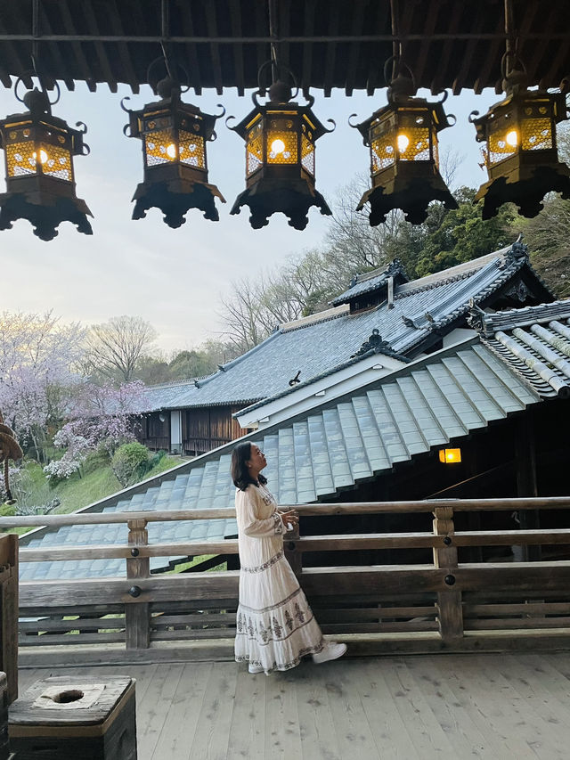 《奈良》春の古都に今年訪れてみてはいかが？