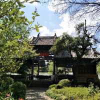 Tranquility Among the Willows: A Day at Black Dragon Lake