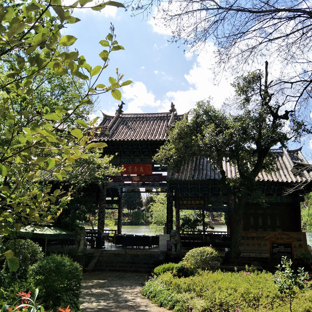 Tranquility Among the Willows: A Day at Black Dragon Lake