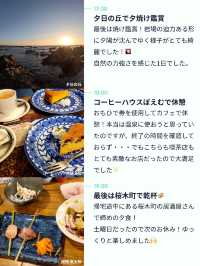 【三崎まぐろ切符で楽々旅🐟✨】 
