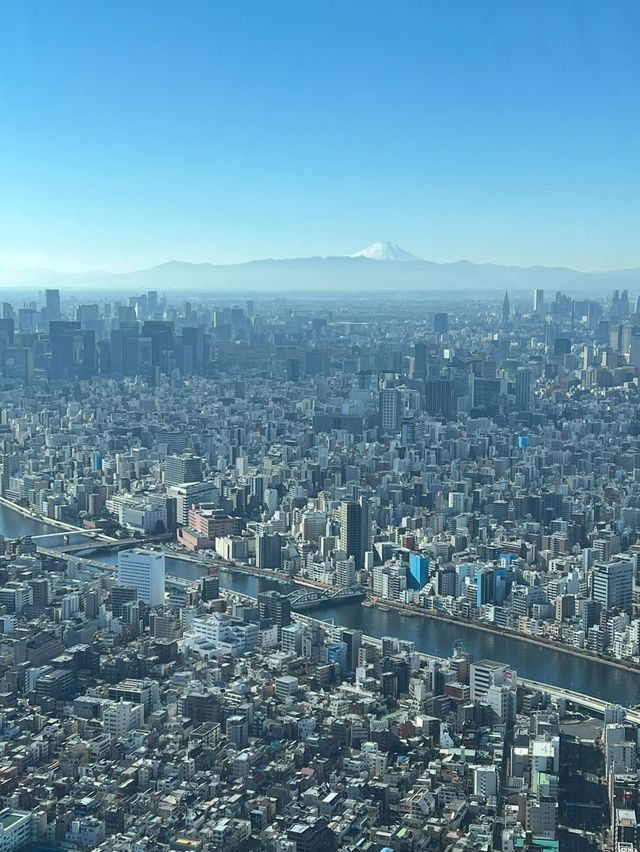 Tokyo Sky Tree 🏙️ จุดชมวิวโตเกียว เห็นฟูจิซังด้วย