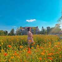 คาเฟ่โฮมมี่ สไตล์คอทเทจ🌻🌼