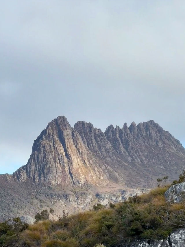 Immersed in Nature: My Scenic Adventure on the Dove Lake Circuit Walk