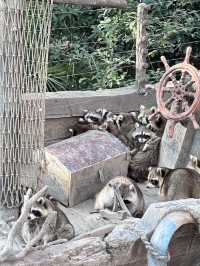 A Wild Adventure at Shanghai Wild Animal Park