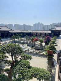 🌺🌼如世外桃源般的「志蓮淨苑」🪷🤩