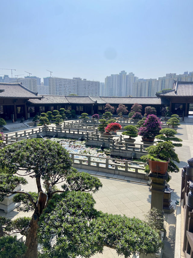 🌺🌼如世外桃源般的「志蓮淨苑」🪷🤩