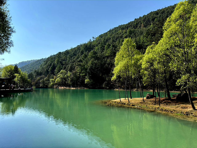 Blue Moon Valley 