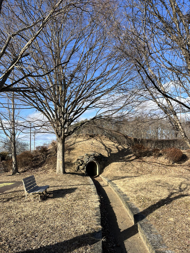 【立科町🇯🇵】龍がモチーフの複合遊具がある運動公園！🐉