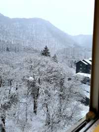 【栃木×湯西川温泉】囲炉裏でいただく平家鷹狩料理  窓からの雪景色が素晴らしく