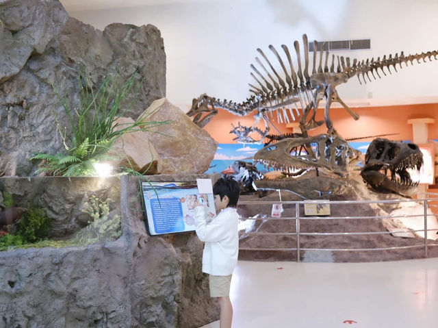พิพิธภัณฑ์ไม้กลายเป็นหิน 🏛️🦕 