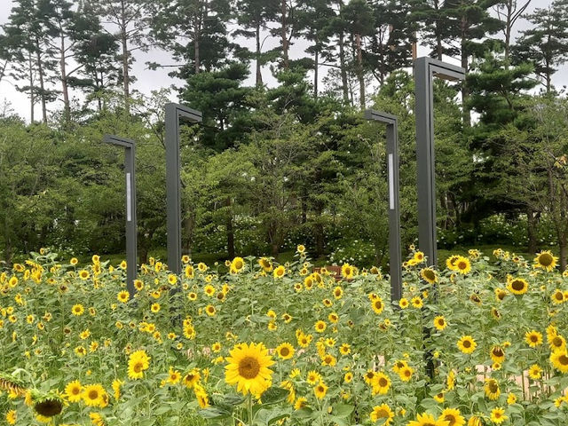 부산시민공원
