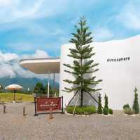 ✨⛰️คาเฟ่เปิดใหม่เชียงดาว Atmosphere Resort & Cafe 