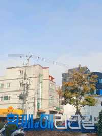 부산의 감성과 트렌드를 담은 골목, 해리단길 🌿✨